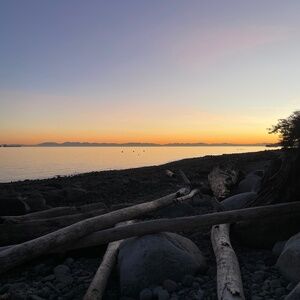 Meet your Posher, Leila